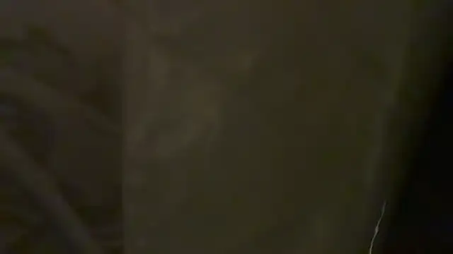 Preview of kungfupanda001