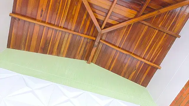 Isabella_Dawn webcam