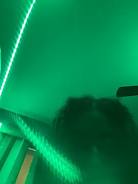 ChicagoMadeThirdLeg webcam