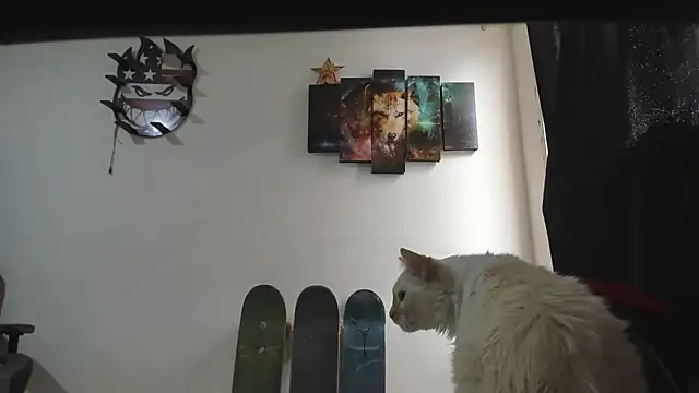 Jeff_Walton@xh webcam