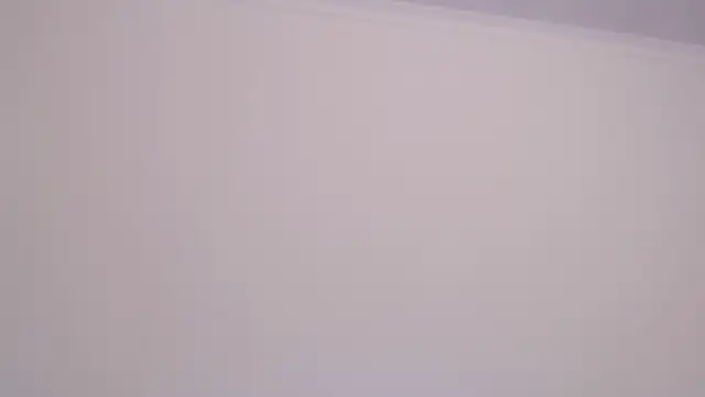 amelia_sunlight webcam