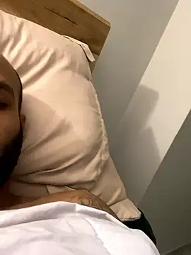 islandvybee55 webcam