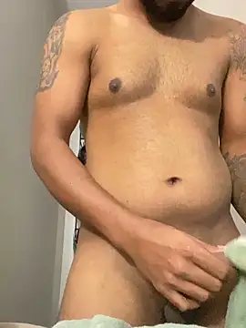 islandvybee55 webcam