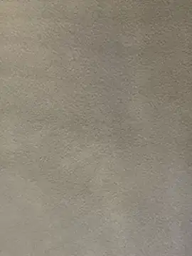 ValuedConcept687 webcam