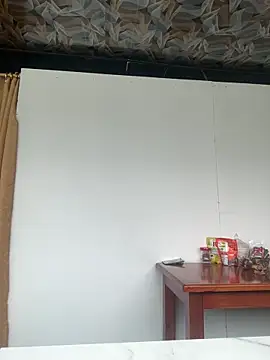 Theprojectsaraa webcam