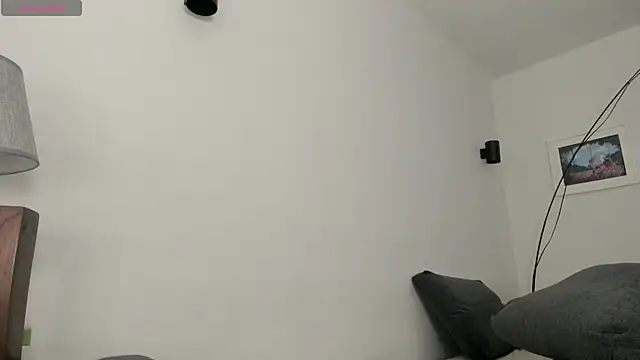 rouse__hallberg webcam