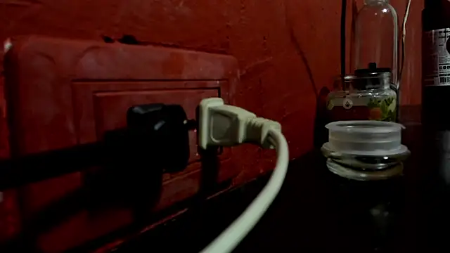 VincentSavage webcam