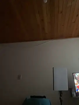 Michaell_Spinelly webcam