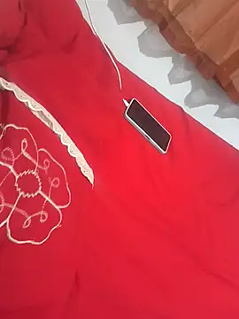 ParaenseBella webcam