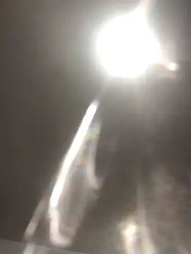 elpeluchenegroxxx3 webcam