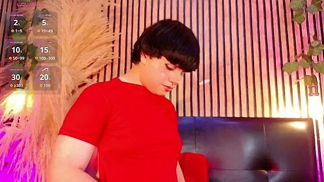 Hiddenhotcake webcam