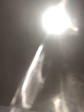 elpeluchenegroxxx3 webcam