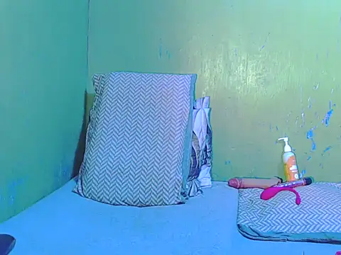 ToiletPlayBarbieDoll webcam