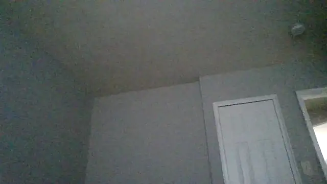 BedazedFirefly webcam