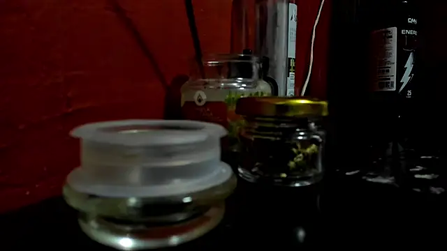 VincentSavage webcam