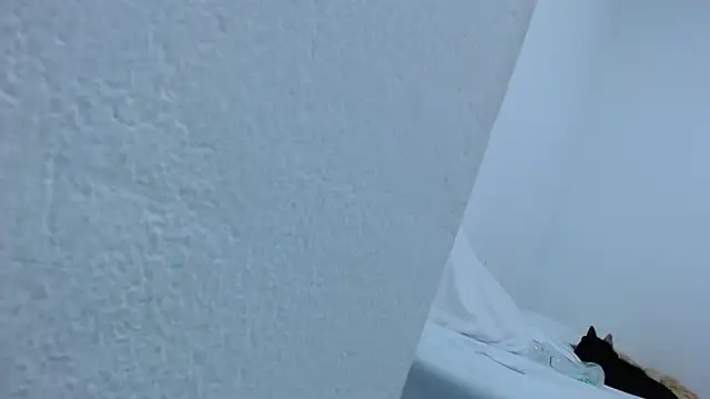 carolina_zabala_19 webcam