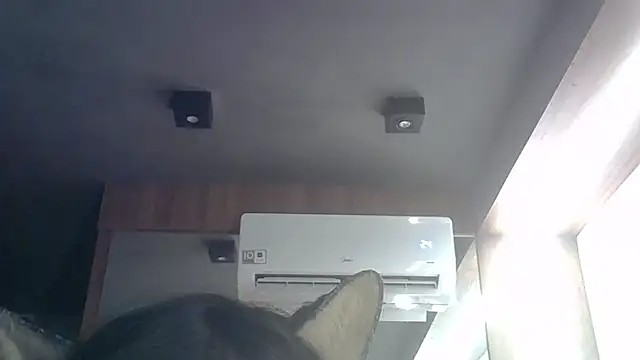 SkinnyKitten webcam