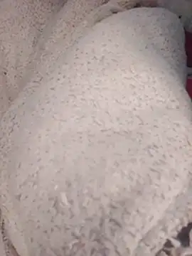 ndivhuwomuleya webcam