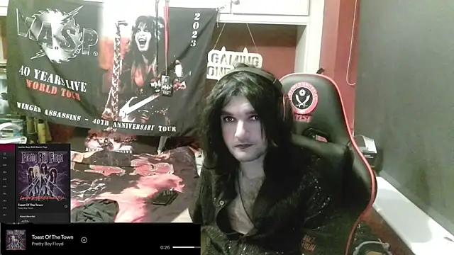 Rocker_Assassin_WASP_FAN webcam