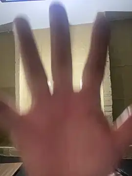 amareto_queen webcam