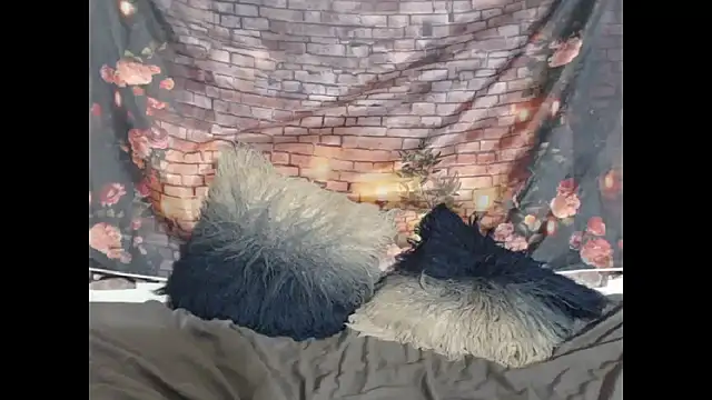 moghelslay (F young) - last tips choice