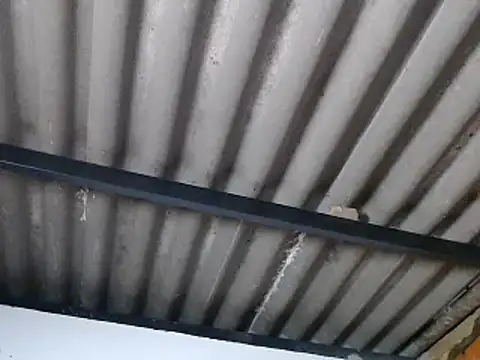 Preview of sophiadaza666