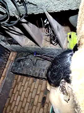 pooja750 (F milf) - 81x0356x86x41