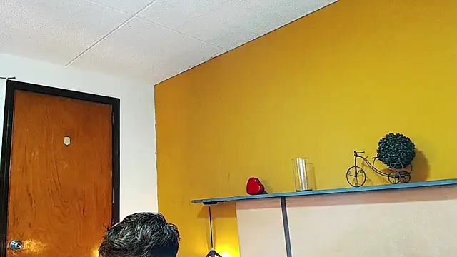 arnold_taylor webcam