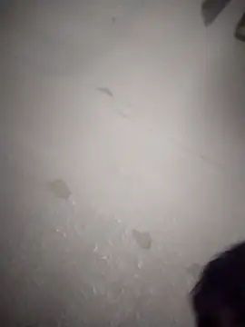 Bigdickdaddy3024 webcam