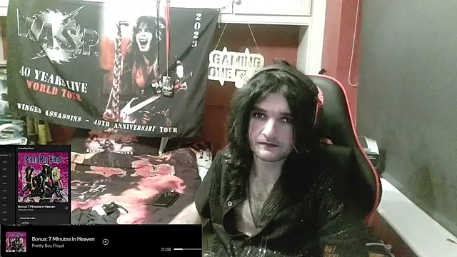Rocker_Assassin_WASP_FAN webcam