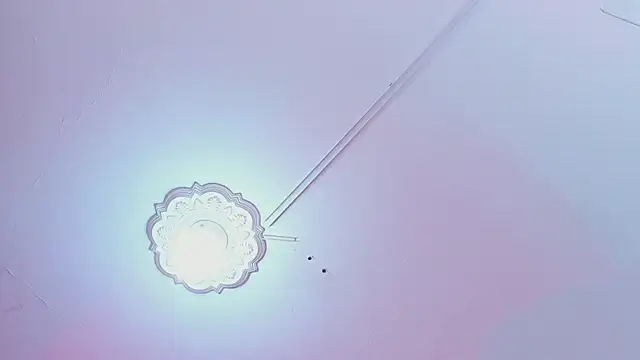 Amelia_Brixton webcam