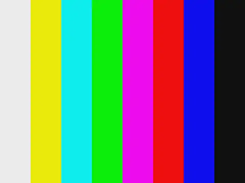 De_maskedcouple webcam