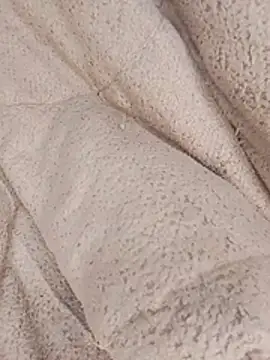 ndivhuwomuleya webcam