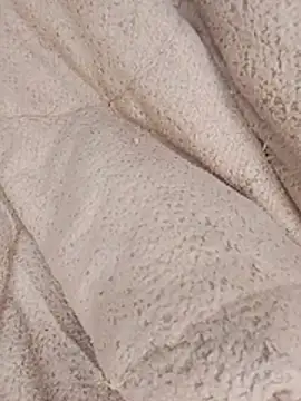 ndivhuwomuleya webcam