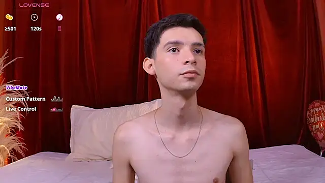 VicenteFerrer webcam