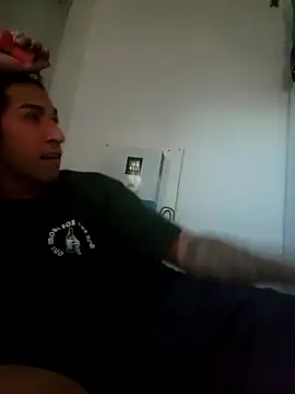 LargeDominoes webcam