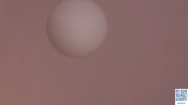 BrynnHolverson webcam