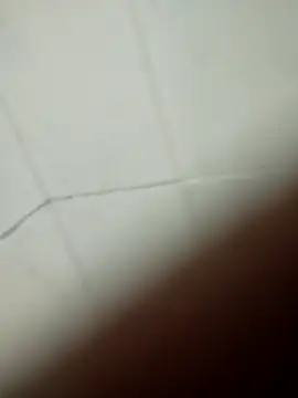 ivanverga14cm webcam