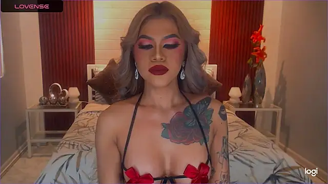 StellaStrong30 webcam