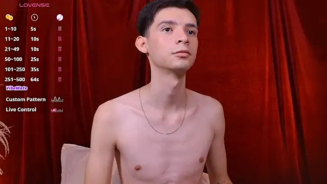 VicenteFerrer webcam