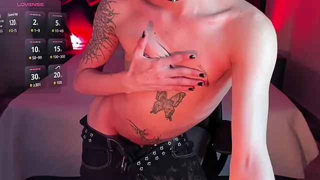 AndyWiilliams webcam