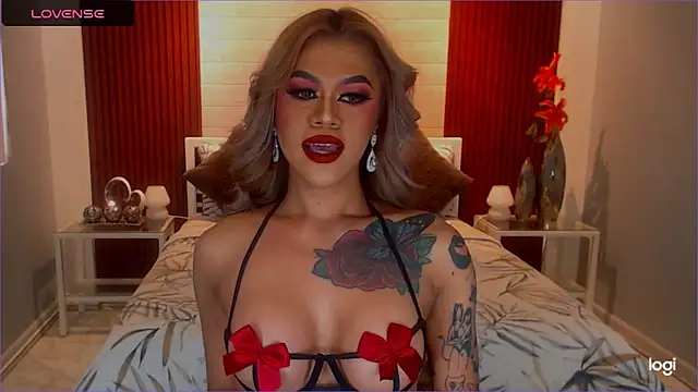 StellaStrong30 webcam