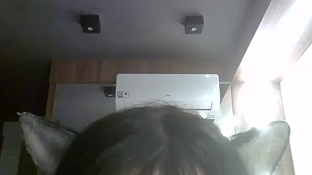 Preview of skinnykitten