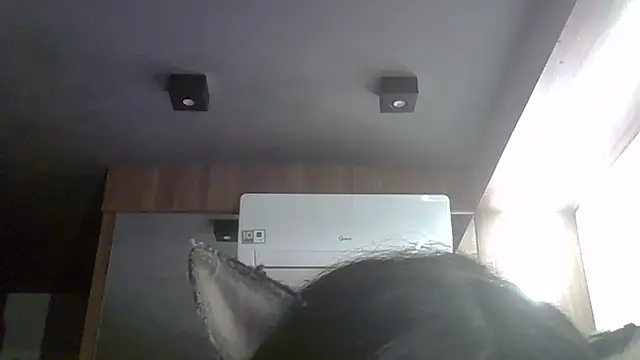 SkinnyKitten webcam