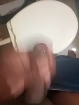 HeatableRevan webcam