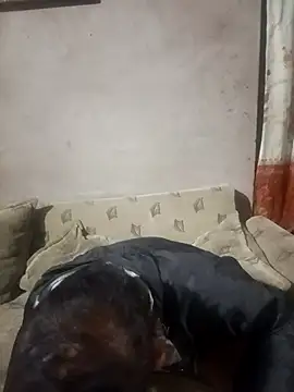 Franklin111230 webcam