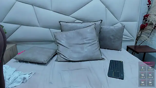 KataleyaVelvet's room