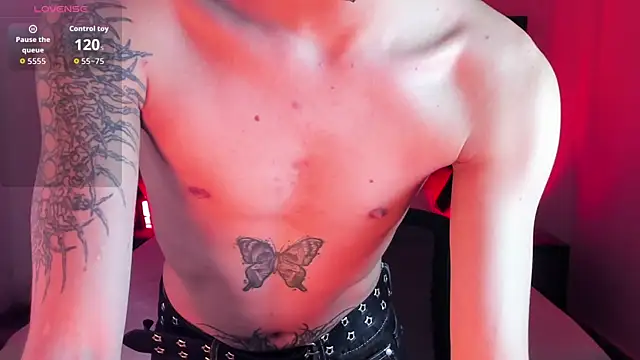 AndyWiilliams webcam