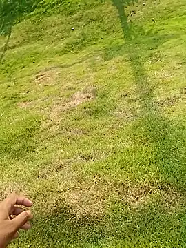 hemcrazy live sex cam