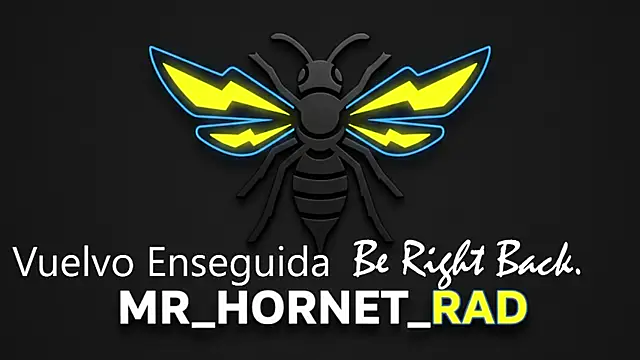 Mr_Hornet_Rad webcam